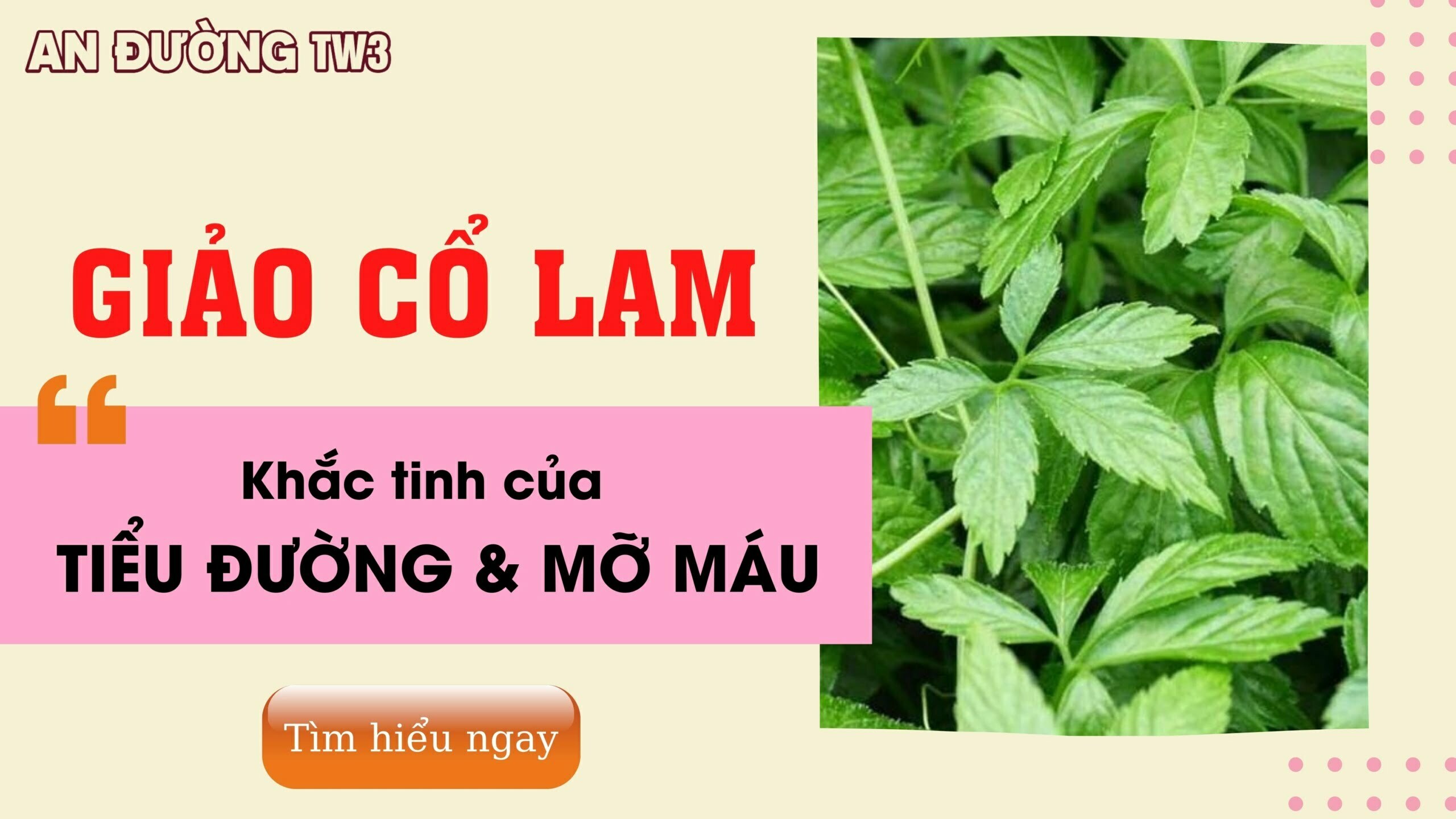 DL giảo cổ lam